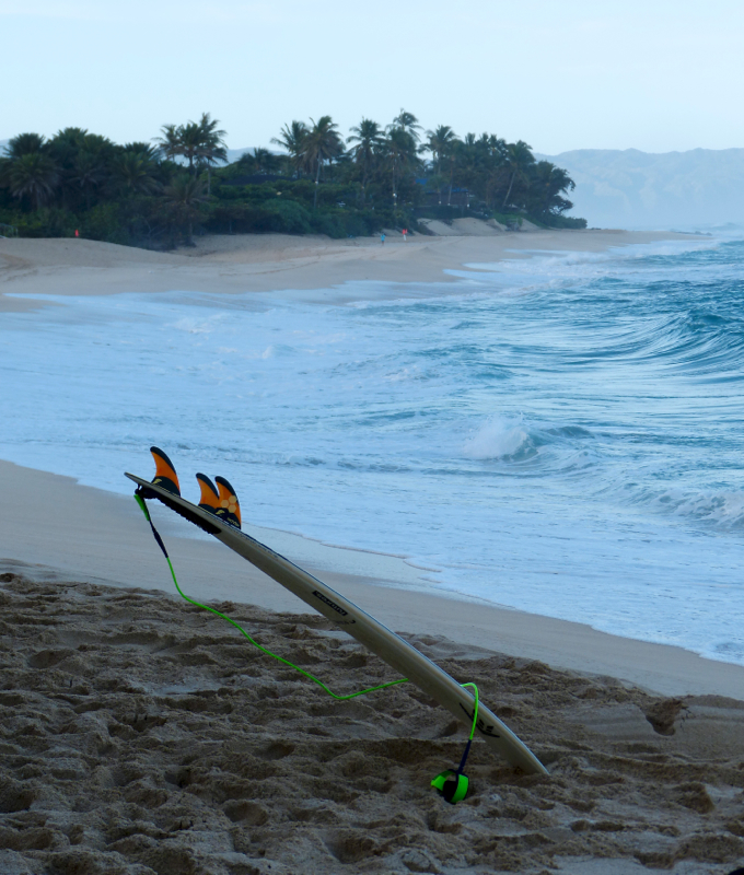 Vans World Cup 2014