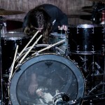 Retox at Los Globos