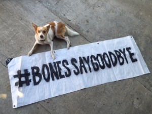 Bones_banner