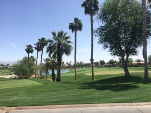 golf_course_coachella