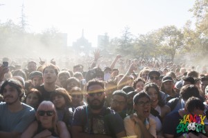 FYF_trees_stage_1