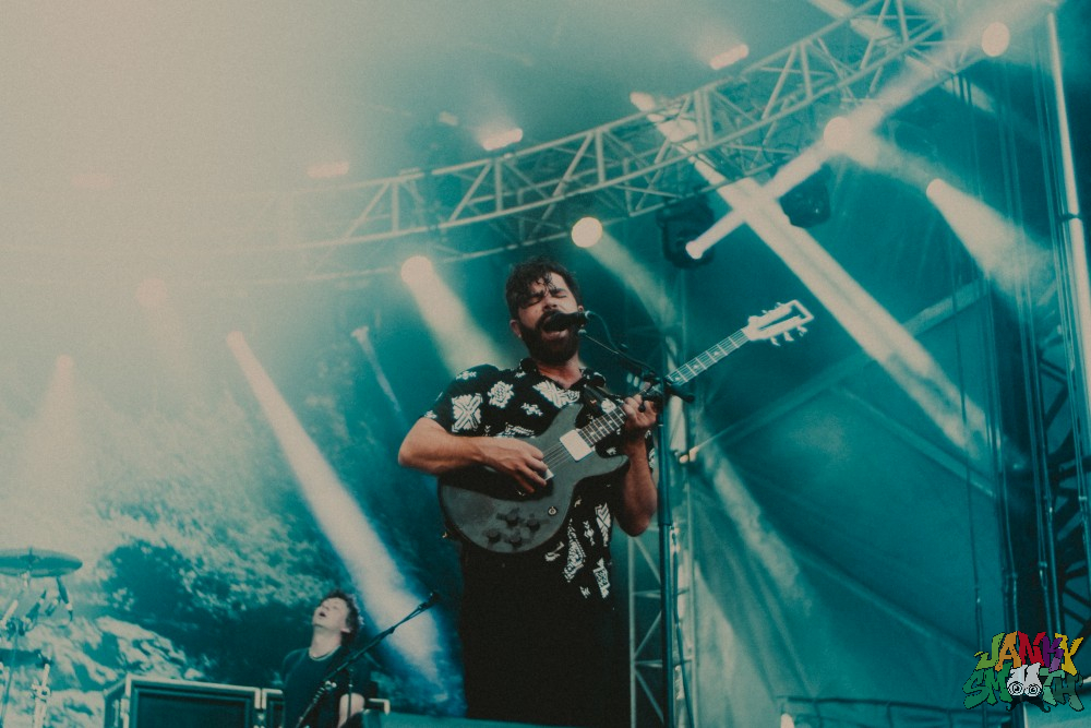 Foals