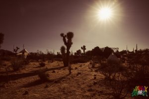 Desert Daze 2016 Joshua Tree