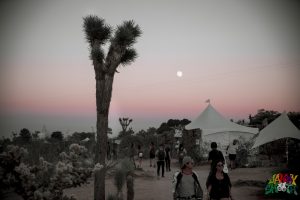 Desert Daze at the Institute of Mentalphysics