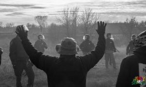 Hands Up, Don't DAPL by Berry Ward