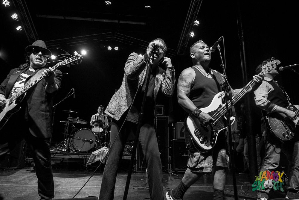 The Dickies at When We Were Young