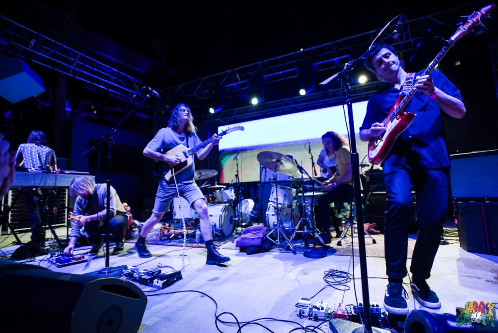 King Gizzard by Jessica Alexander