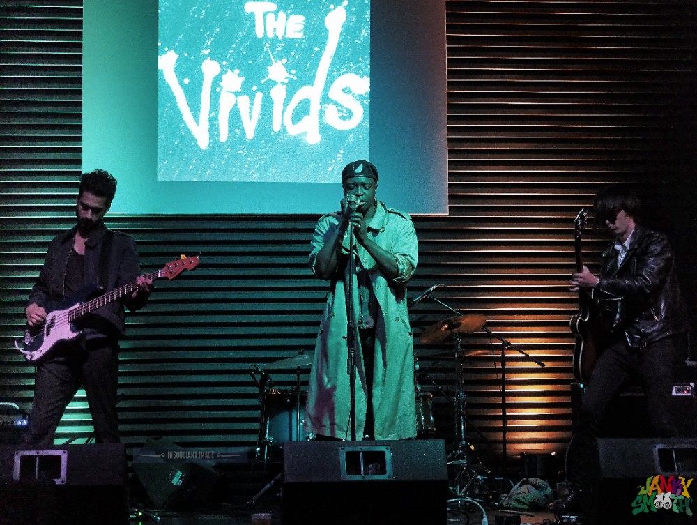 The Vivids at Acerogami