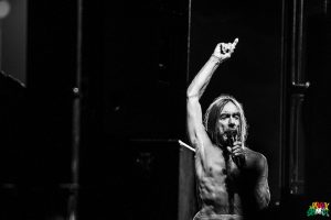 Iggy Pop