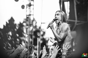 Iggy Pop