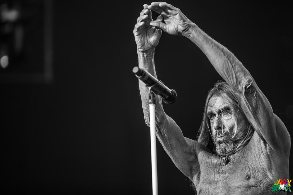 Iggy Pop