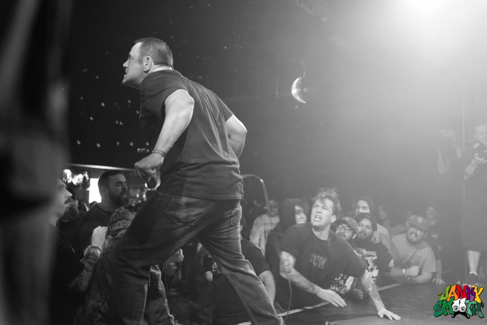 Infest