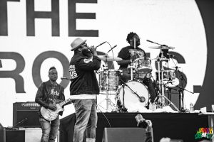 The Roots