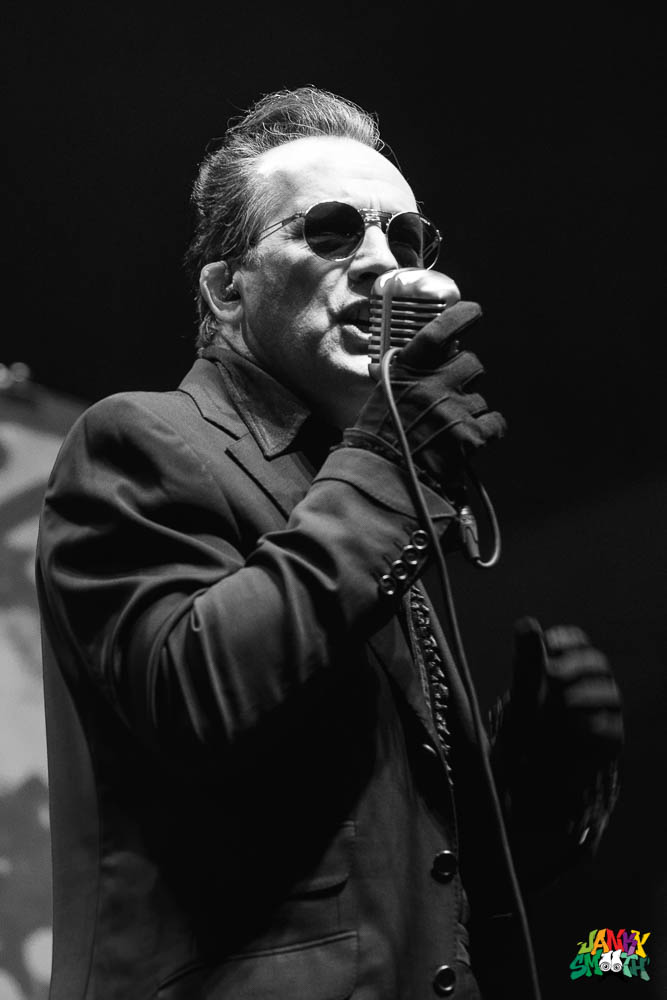 The Damned