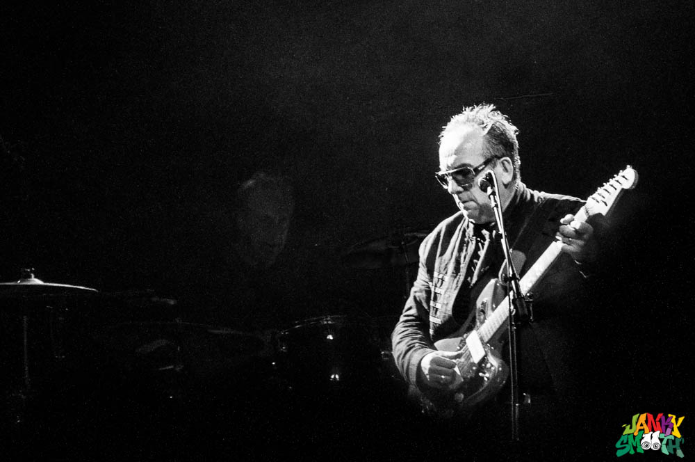 Elvis Costello