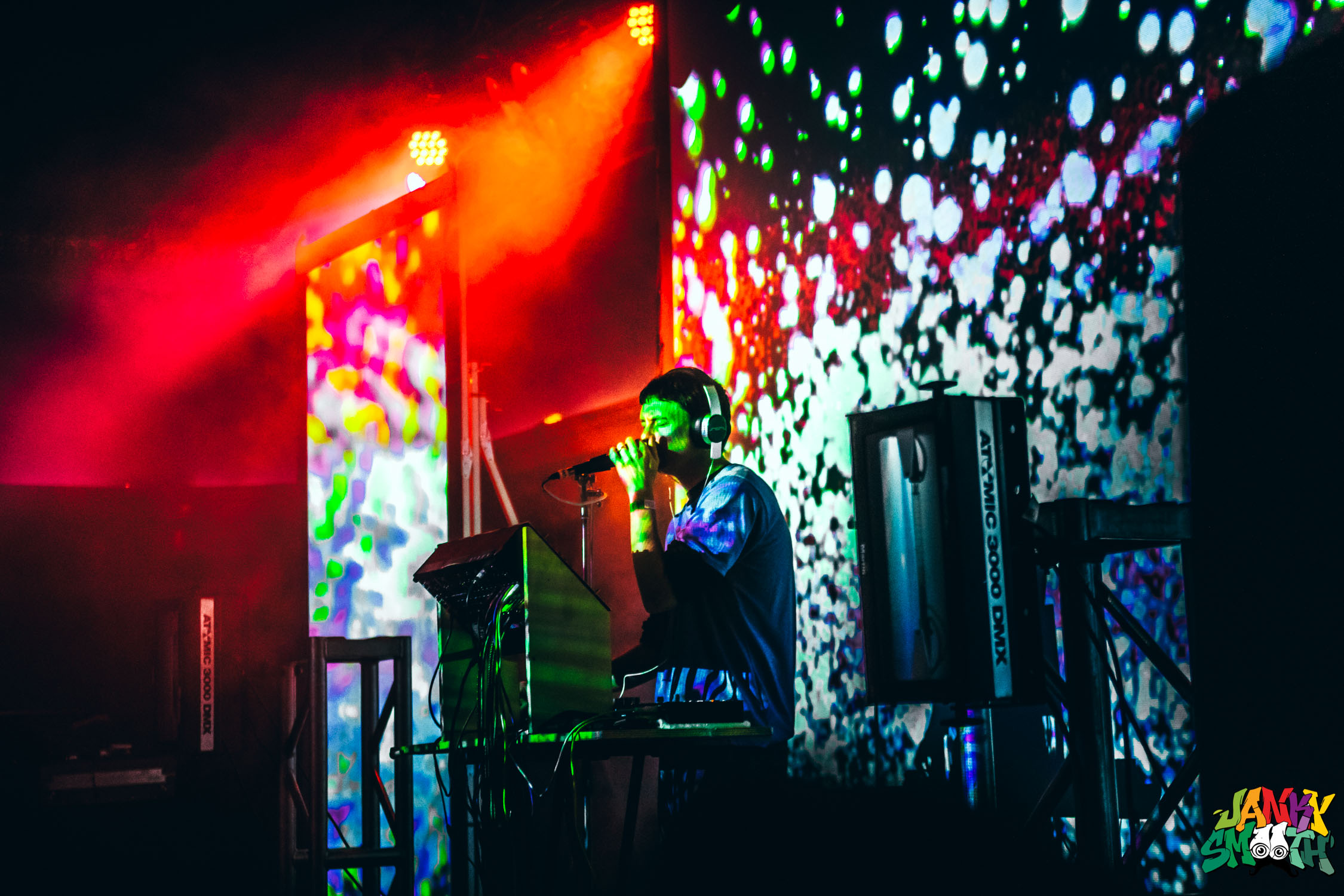 Panda Bear