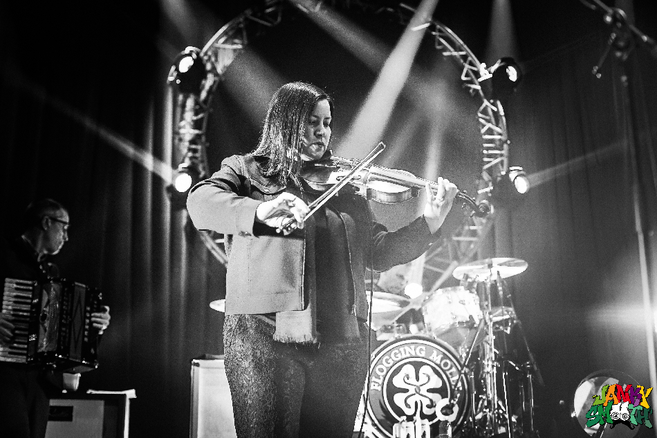 Flogging Molly