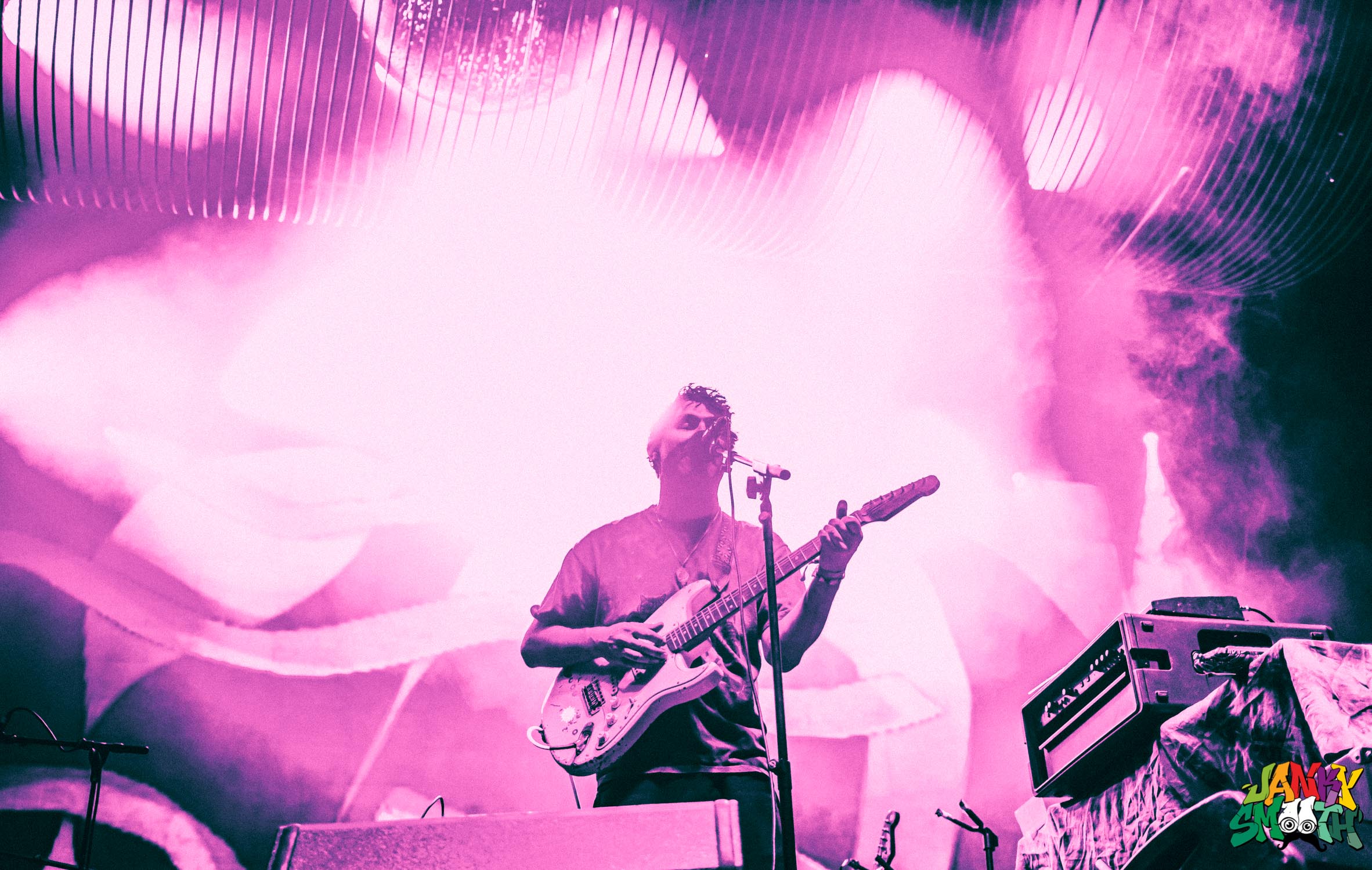 Animal Collective