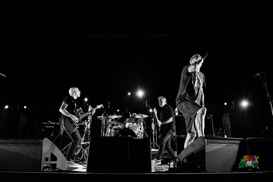 Descendents