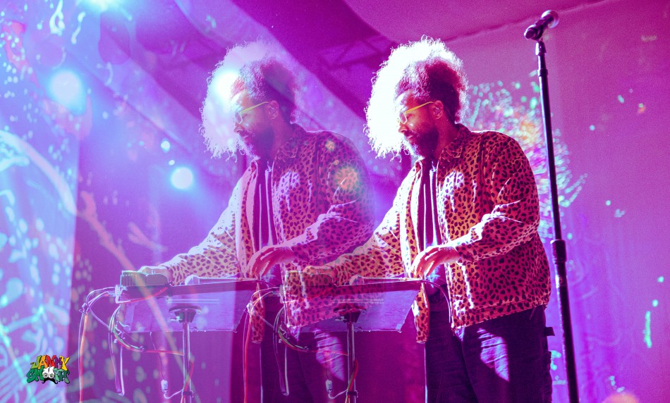 Reggie Watts at Desert Daze 2022