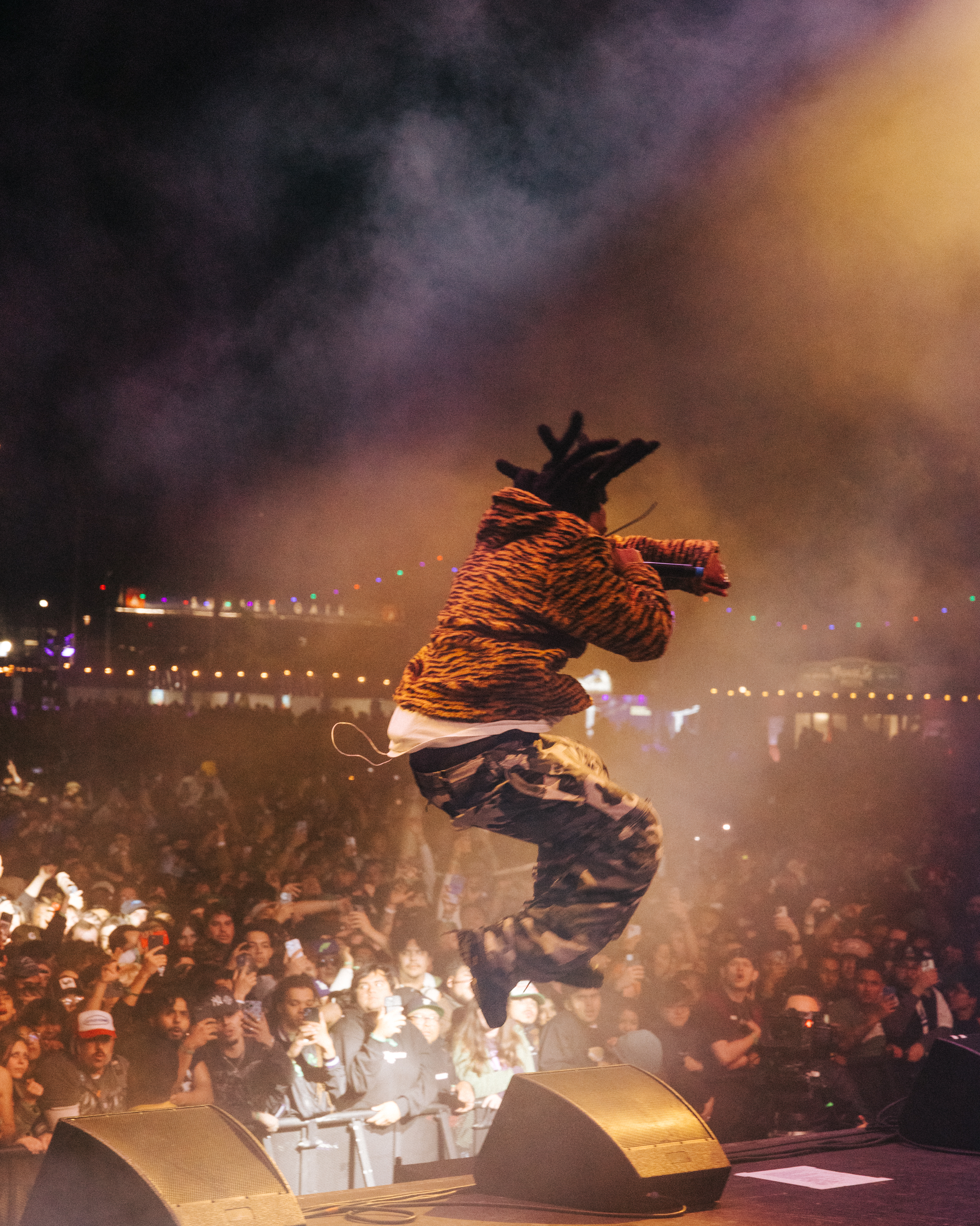 Tyler's Camp Flog Gnaw Year 10 Intersects w/ Chromakopia Number 1