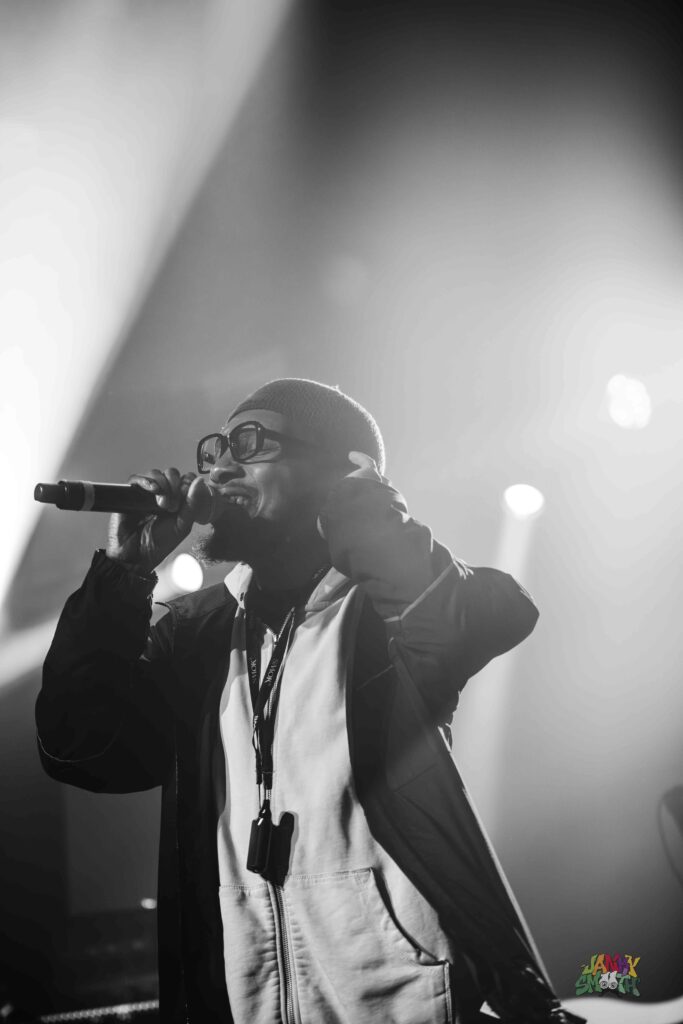 Deltron 3030 at Bellwether by Taylor Wong
