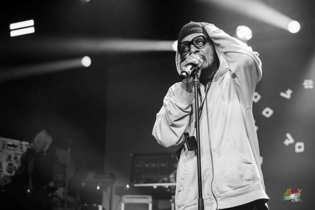 Deltron3030 at Bellwether by Taylor Wong