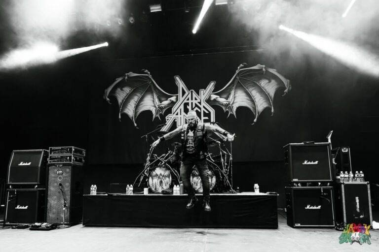 Dark Angel by Michelle Evans