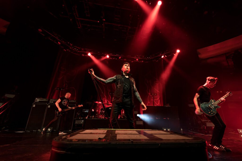AFI by Steve Rose