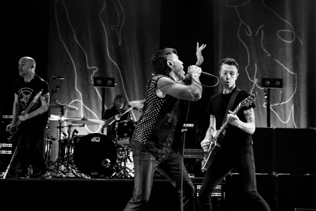 AFI by Steve Rose