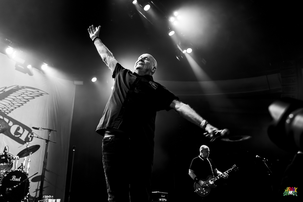 Cock Sparrer by Jessica Moncrief