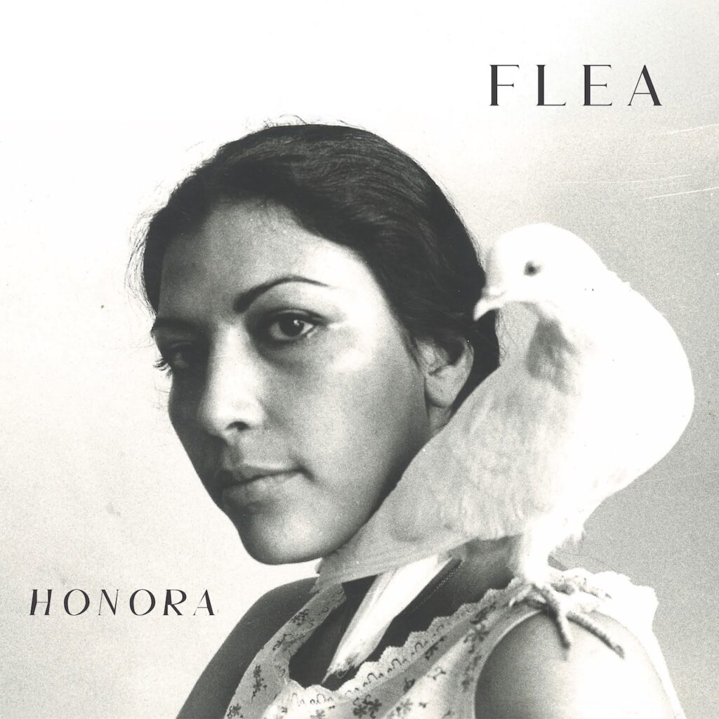 Honora by Flea