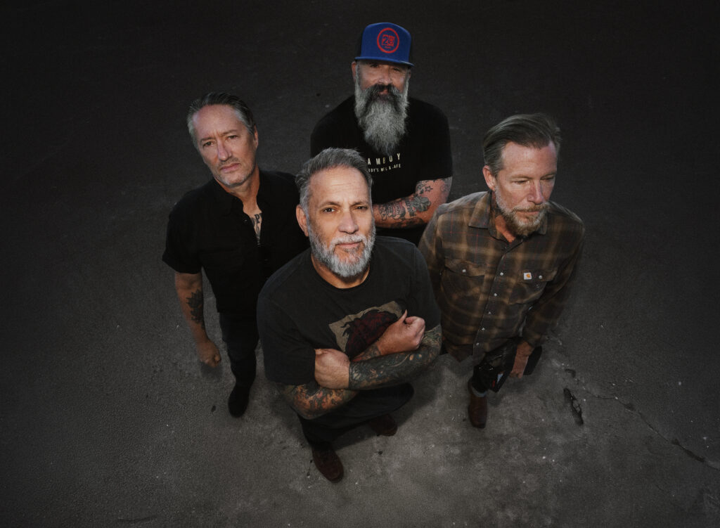 Face to Face photo by D Bahn